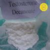 Testosterone Decanoate (Steroids)  